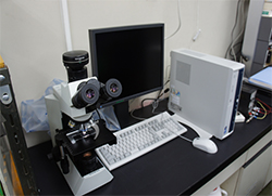 システム生物顕微鏡