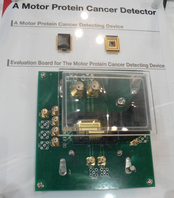 A Motor Protein Cancer detector