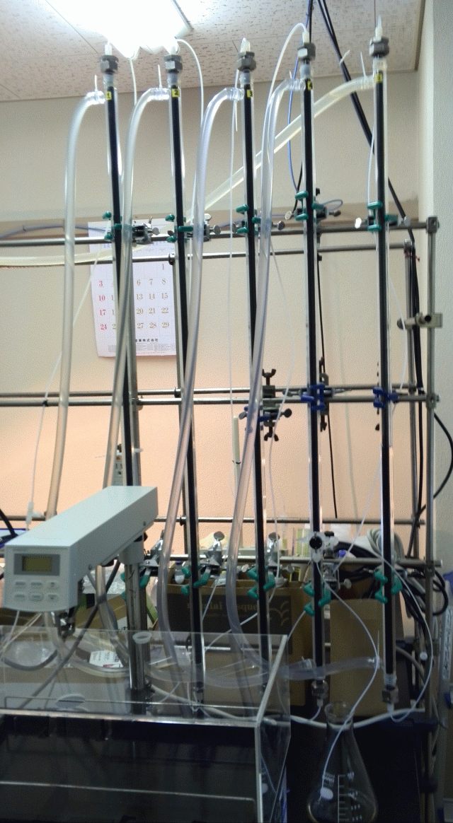 図２ 化学法同位体分離実験装置