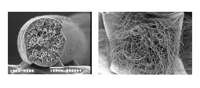 図１ ゼオライトーポリマー複合繊維写真　
放射性セシウム吸着能を有するため、福島県の除染に実用化。セシウムの他、鉛への吸着特性も有するため、屋外での重金属除去に応用可能。