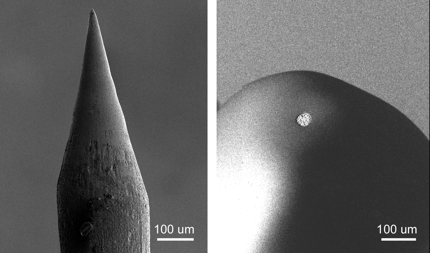 左)金ナノニードル電極、右)銀ワイヤをガラスピペットに埋め込んだマイクロ電極