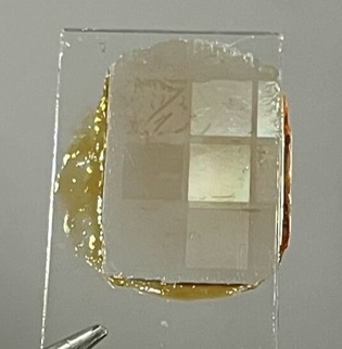 図３　インプリント法で作製した新規高速応答液晶の基板表面