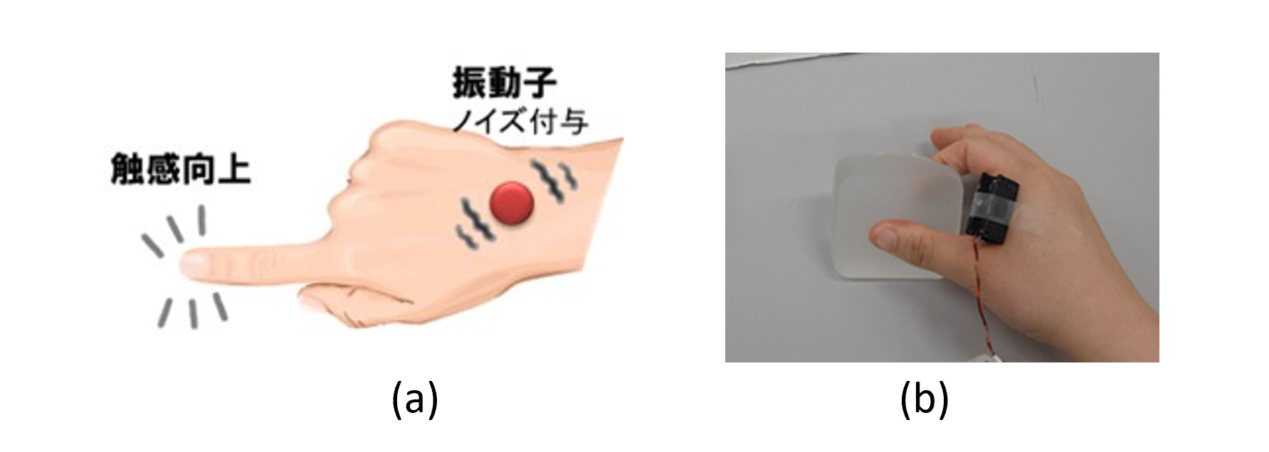 確率共鳴を用いた指先触知覚能力を向上するシステム．(a)機械ノイズ付与による指先触知覚向上の図，(b)実環境における実験