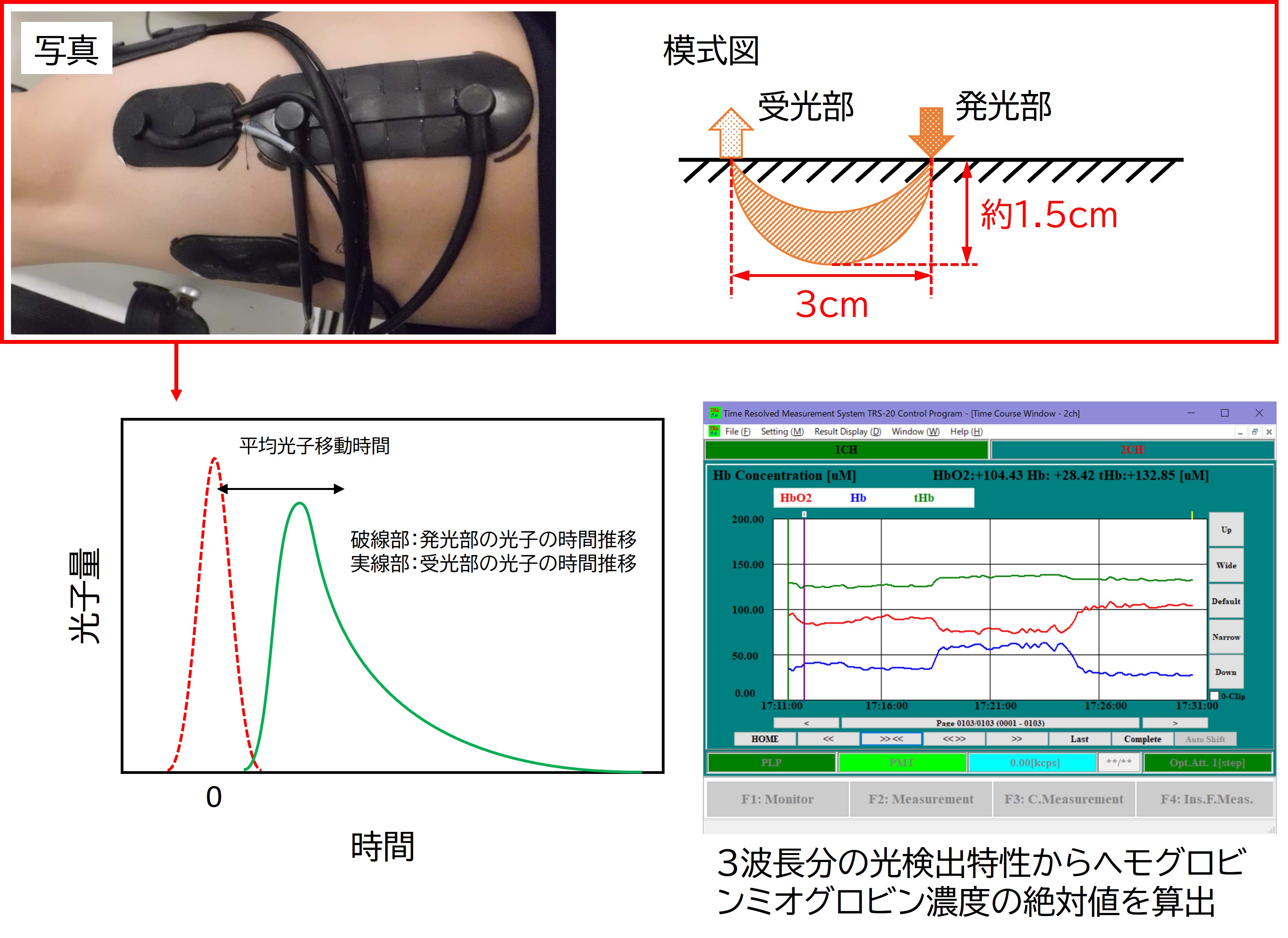 近赤外時間分解分光装置による測定の概要