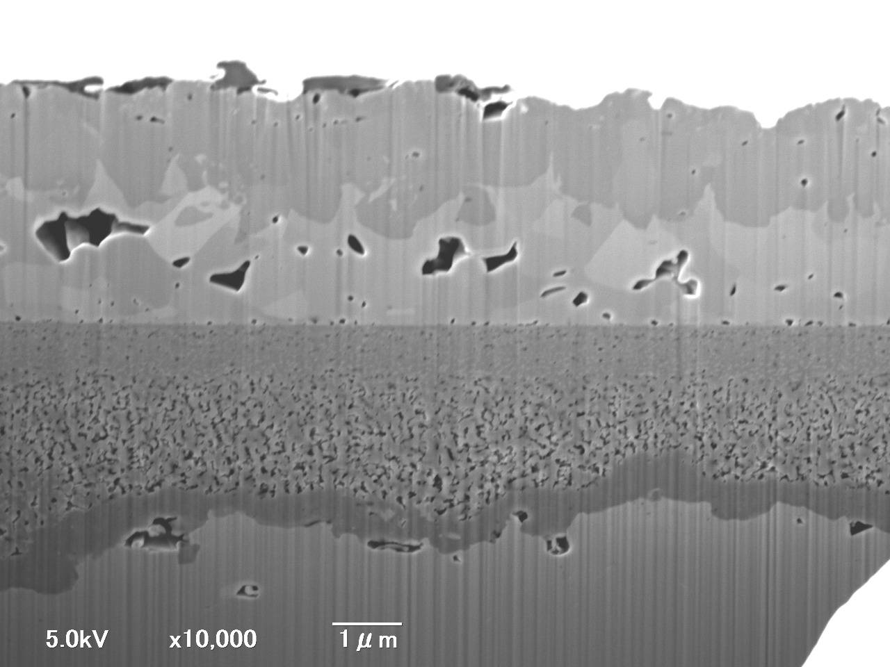 図２　Ni-FeCr-Nb合金の高温CO2腐食で形成した酸化皮膜のSEM像。FIB装置で加工して酸化皮膜のダメージを少なくして撮影したもの。