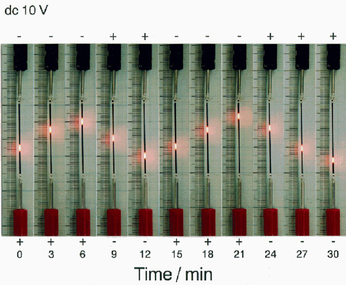 図１ セラミックス線材に室温で電圧を印加することにより電界方向に移動するホットスポット現象（図中の「赤く見える」部分－実際は赤熱している－がホットスポット）