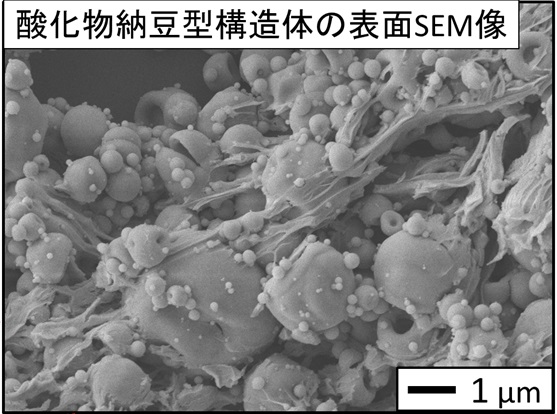 図４ 酸化物納豆型構造体の表面SEM像