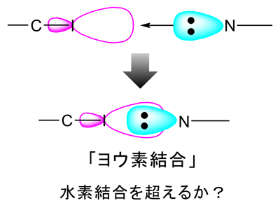 図１ 新しい分子間相互作用である「ヨウ素結合」の模式図。貴重な純国産資源であり、世界総生産量の34%（2012年）を日本が生産。