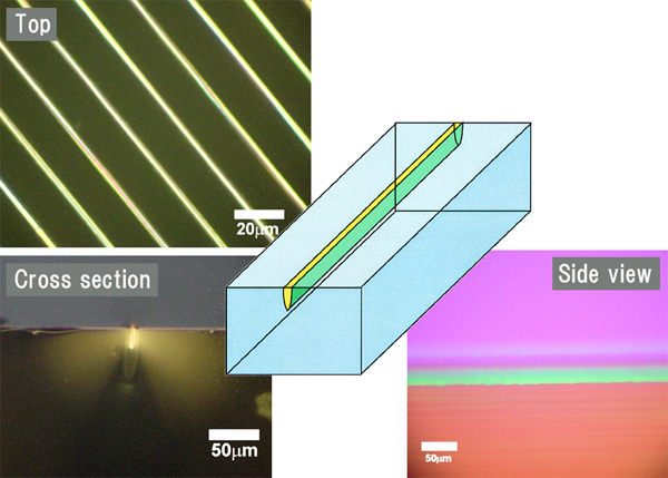 図１ レーザーパターニング描画によりガラス表面に形成された単結晶光導波路