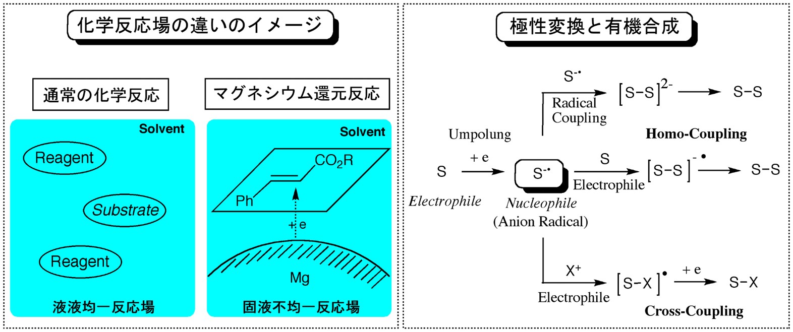 図２ 一般の化学反応と異なる反応場と極性変換効果に関するイメージ図