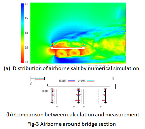 Fig-3 Airborne around bridge section
(a) Distribution of airborne salt by numerical simulation
(b) Comparison between calculation and measurement
