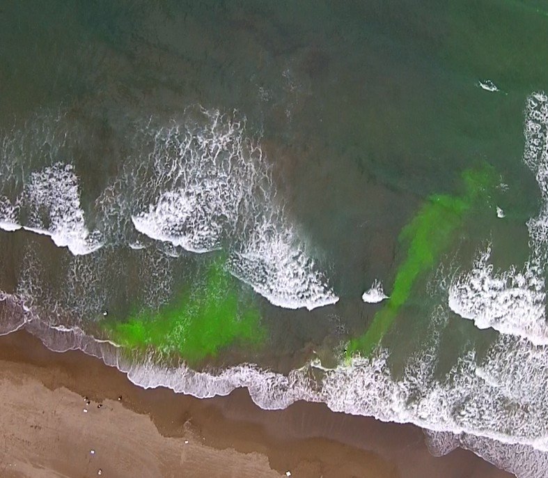 図２　可視化した離岸流（緑色が着色した離岸流、UAVで撮影）