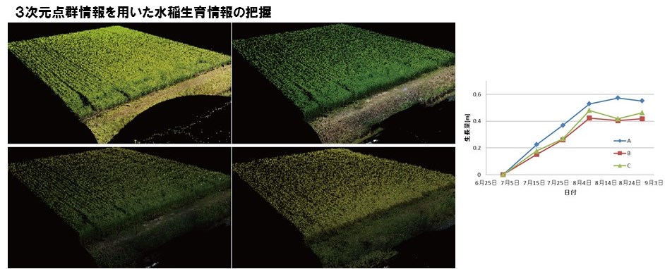 Grasp of rice paddy rice growth using three-dimensional information